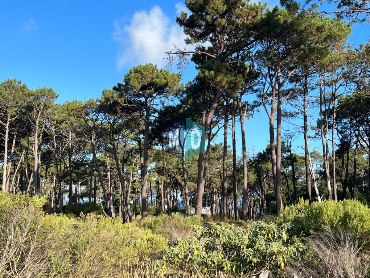 Terreno ID.439 - Terreno de 1000m2 en Reserva Montoya