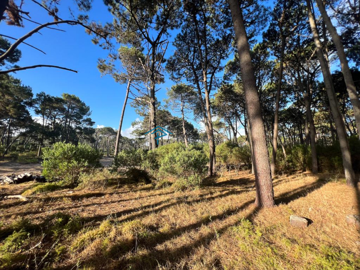 Terreno ID.271 - Terreno de 1000m2 en Reserva Montoya
