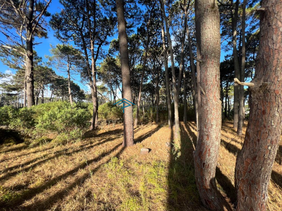 Terreno ID.271 - Terreno de 1000m2 en Reserva Montoya