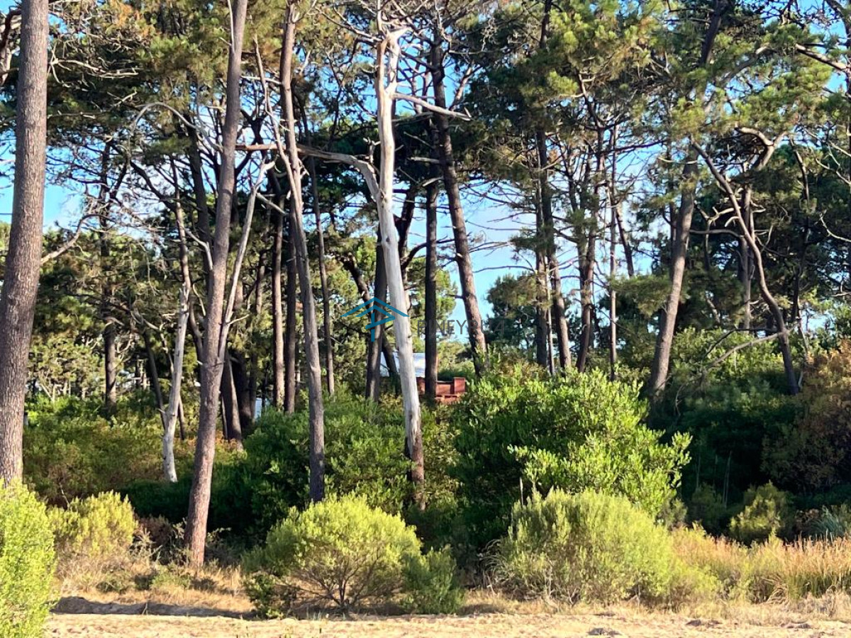 Terreno ID.271 - Terreno de 1000m2 en Reserva Montoya