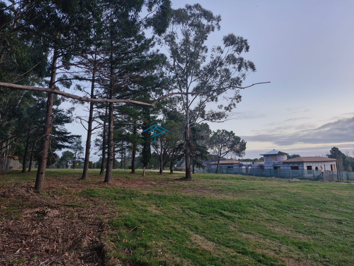 TERRENO EN DON MIGUEL