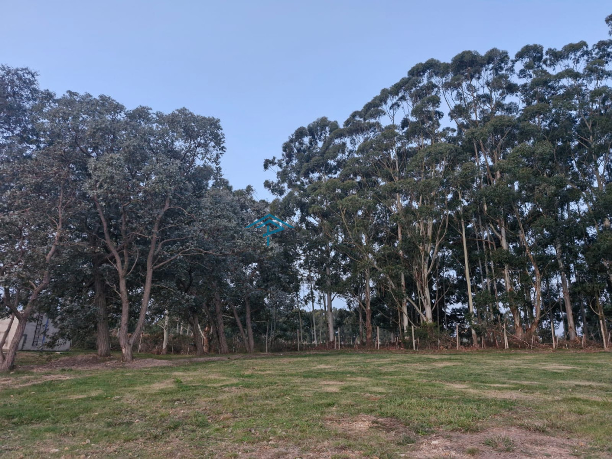 TERRENO EN DON MIGUEL