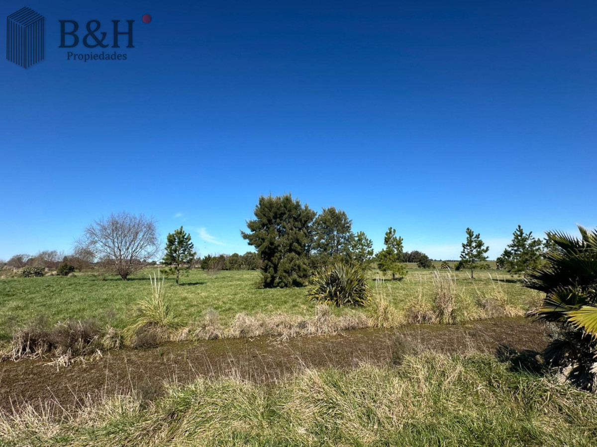 Chacra ID.7503 - VENTA CHACRA RUTA 104