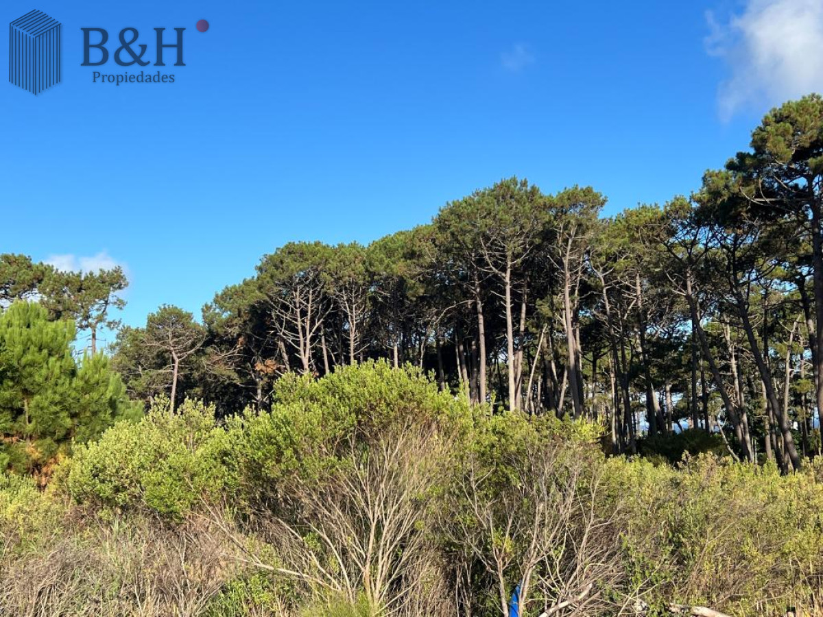 Terreno ID.1206 - Terreno de 1000m2 en Reserva Montoya