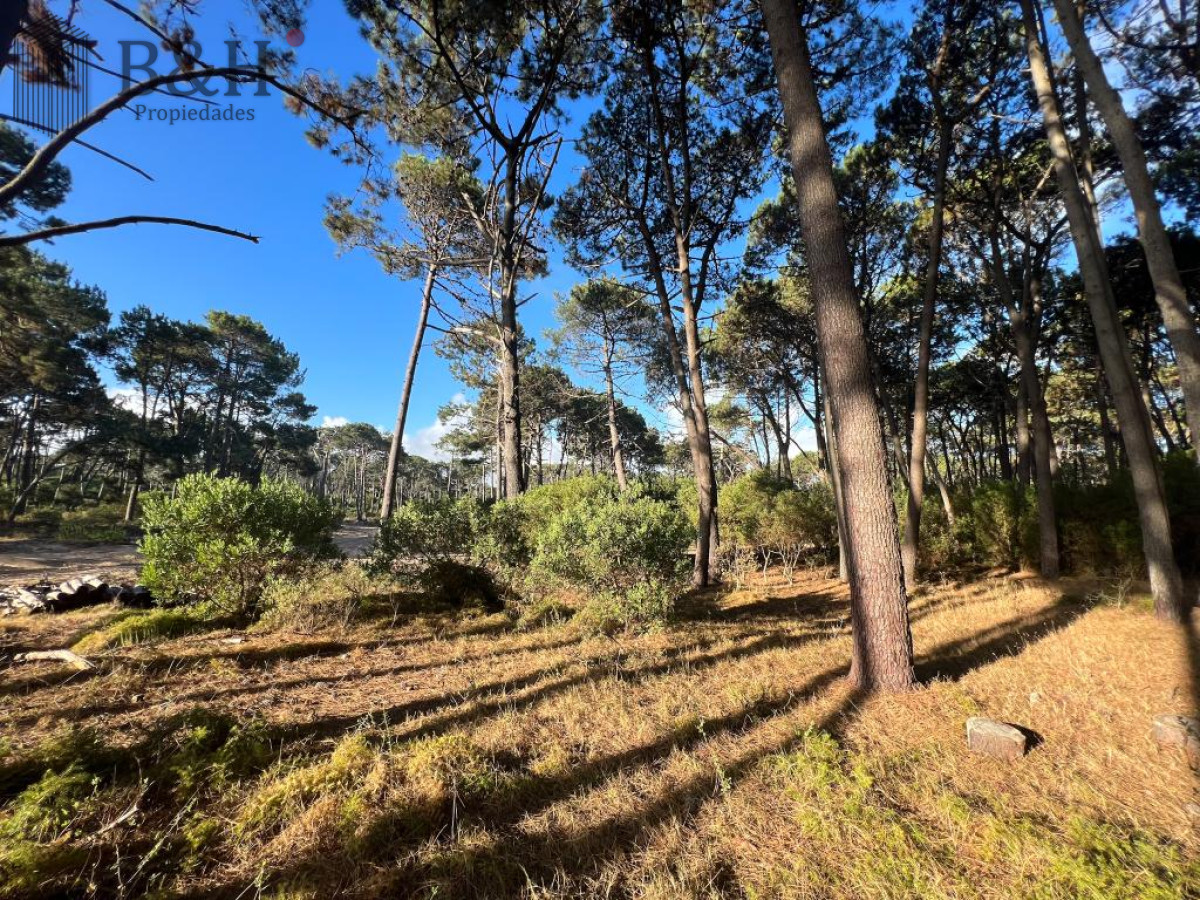 Terreno ID.1206 - Terreno de 1000m2 en Reserva Montoya