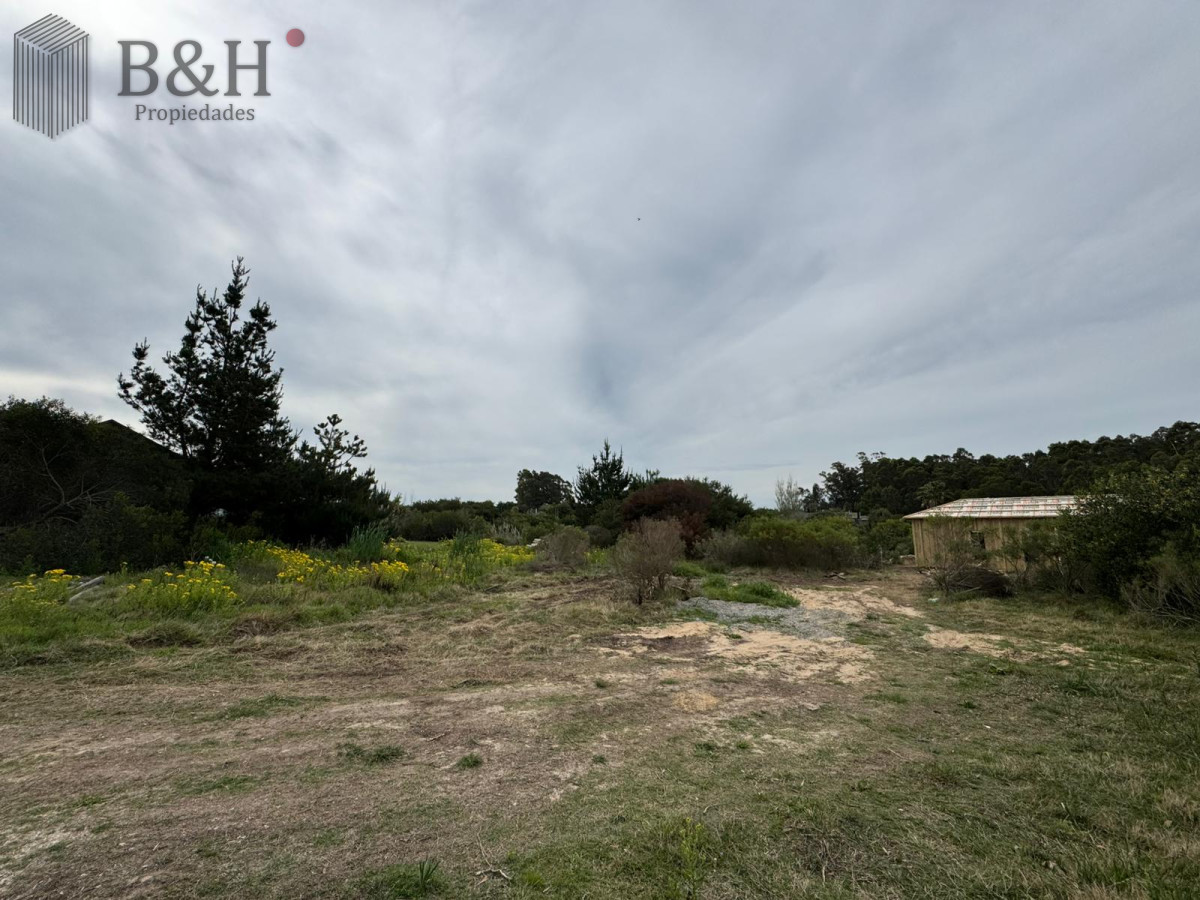 San Vicente - GoPunta - Portal Inmobiliario de Punta del Este - Maldonado