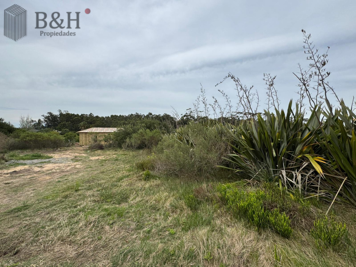 San Vicente - GoPunta - Portal Inmobiliario de Punta del Este - Maldonado