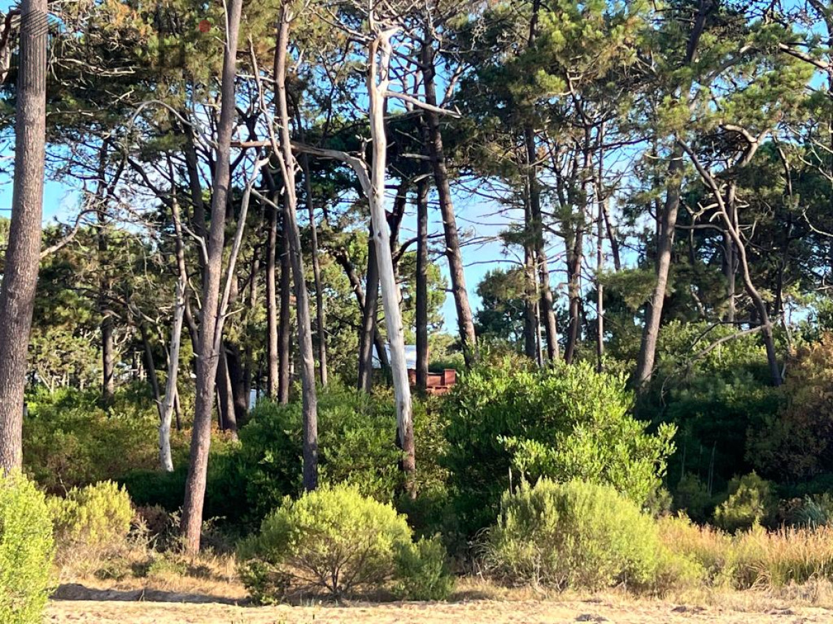 Terreno ID.1206 - Terreno de 1000m2 en Reserva Montoya