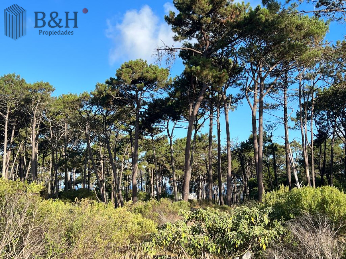Terreno ID.1206 - Terreno de 1000m2 en Reserva Montoya