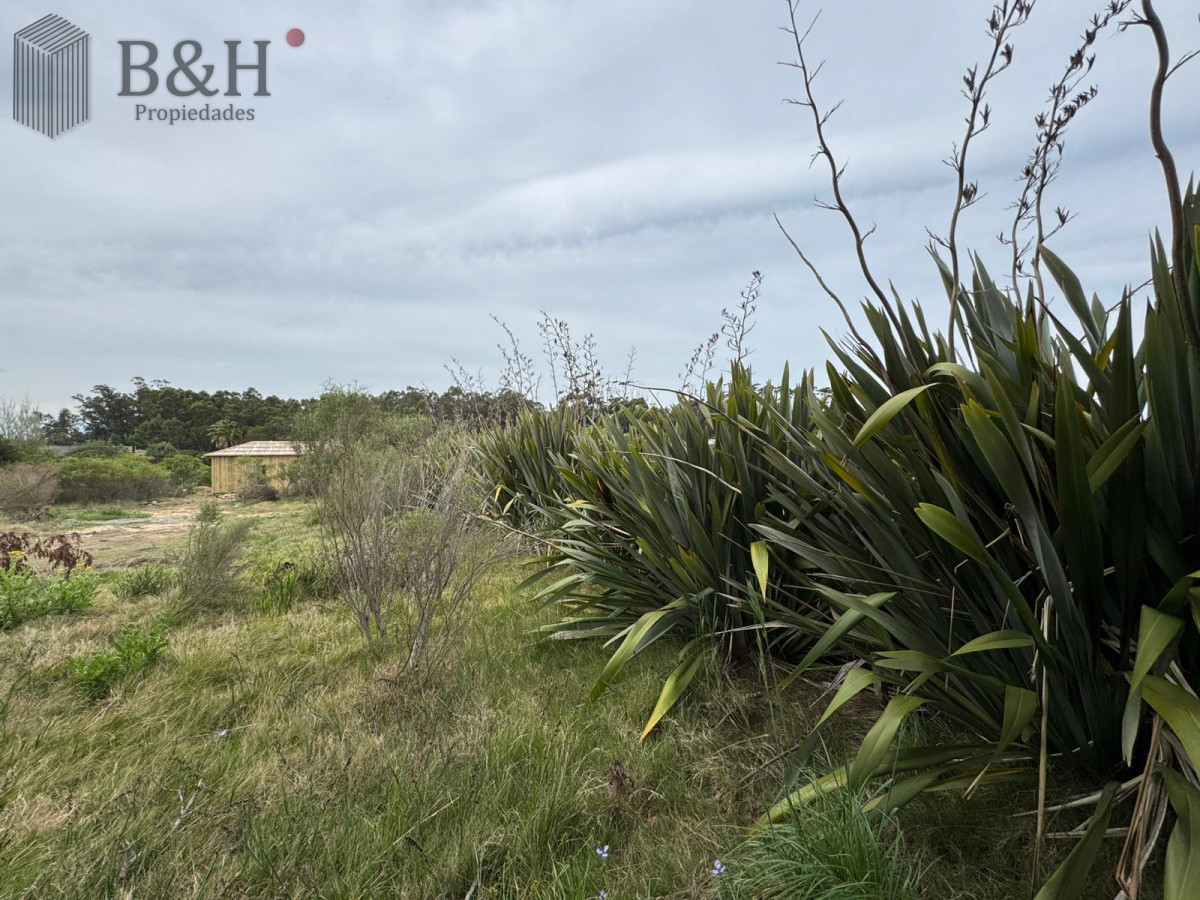 San Vicente - GoPunta - Portal Inmobiliario de Punta del Este - Maldonado