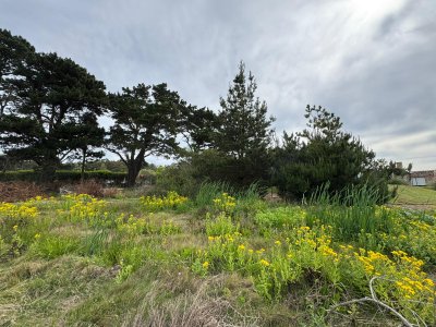 TERRENO DE 1500MTS EN SAN VICENTE