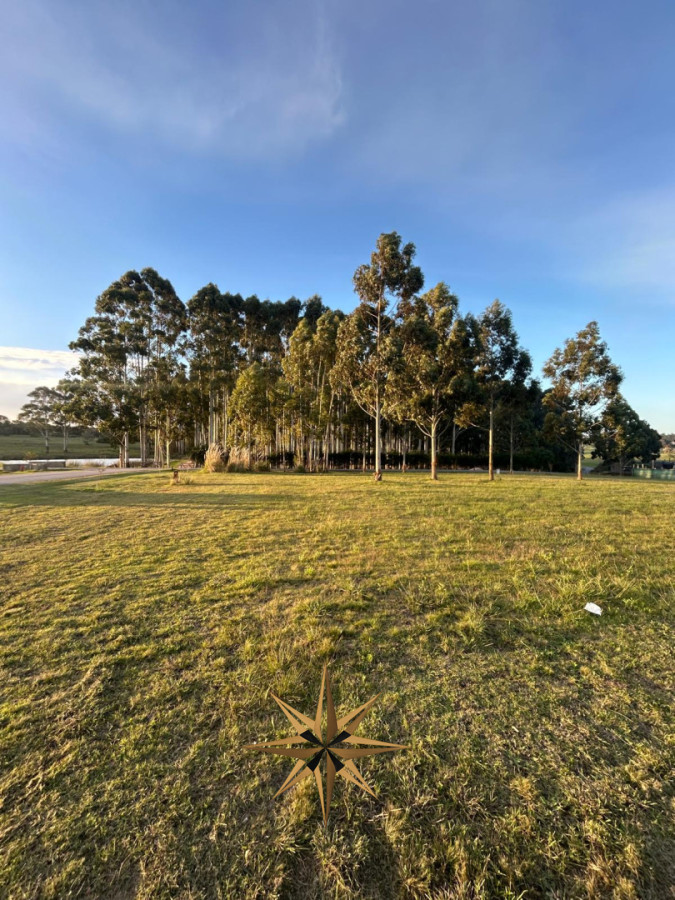 Terreno