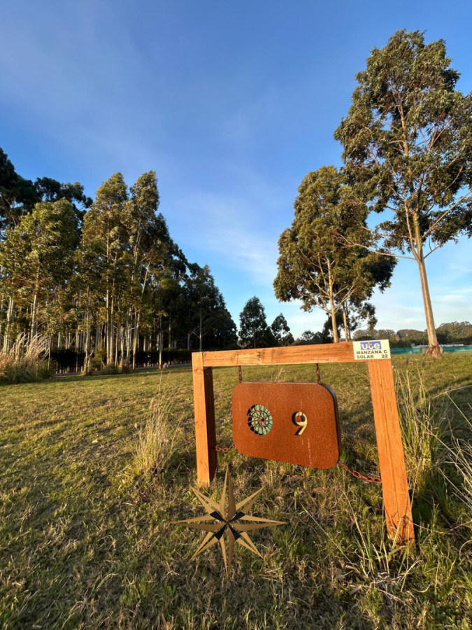 Terreno
