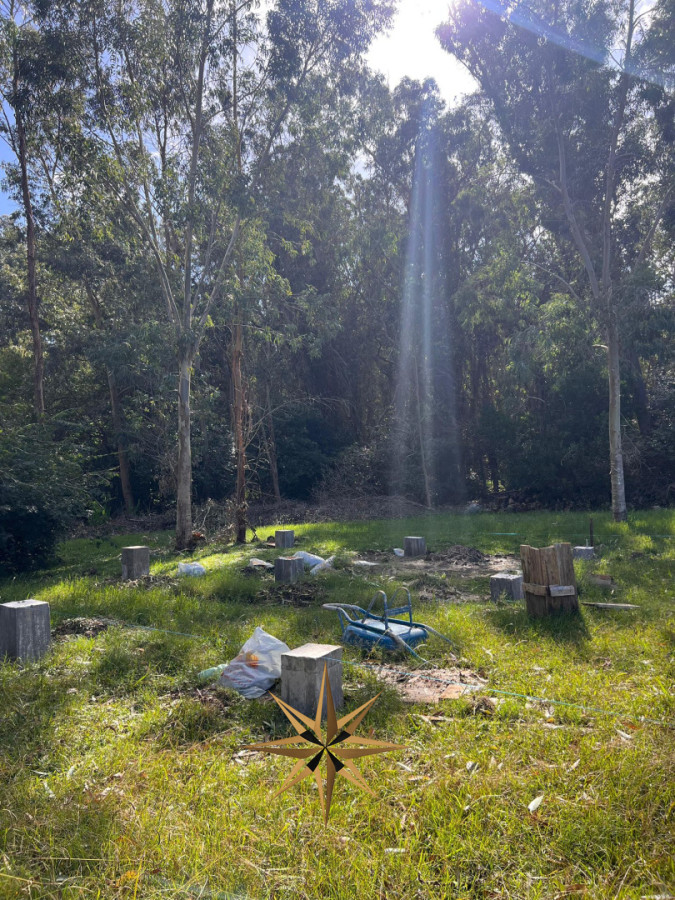 Terreno