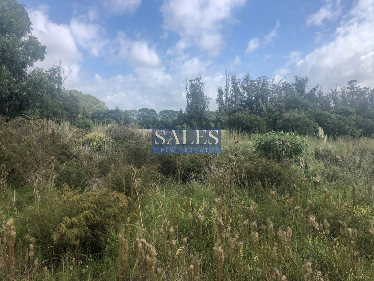 Terreno ID.452 - TERRENOS EN VENTA EN MIRAMAR ACRES - LA BARRA