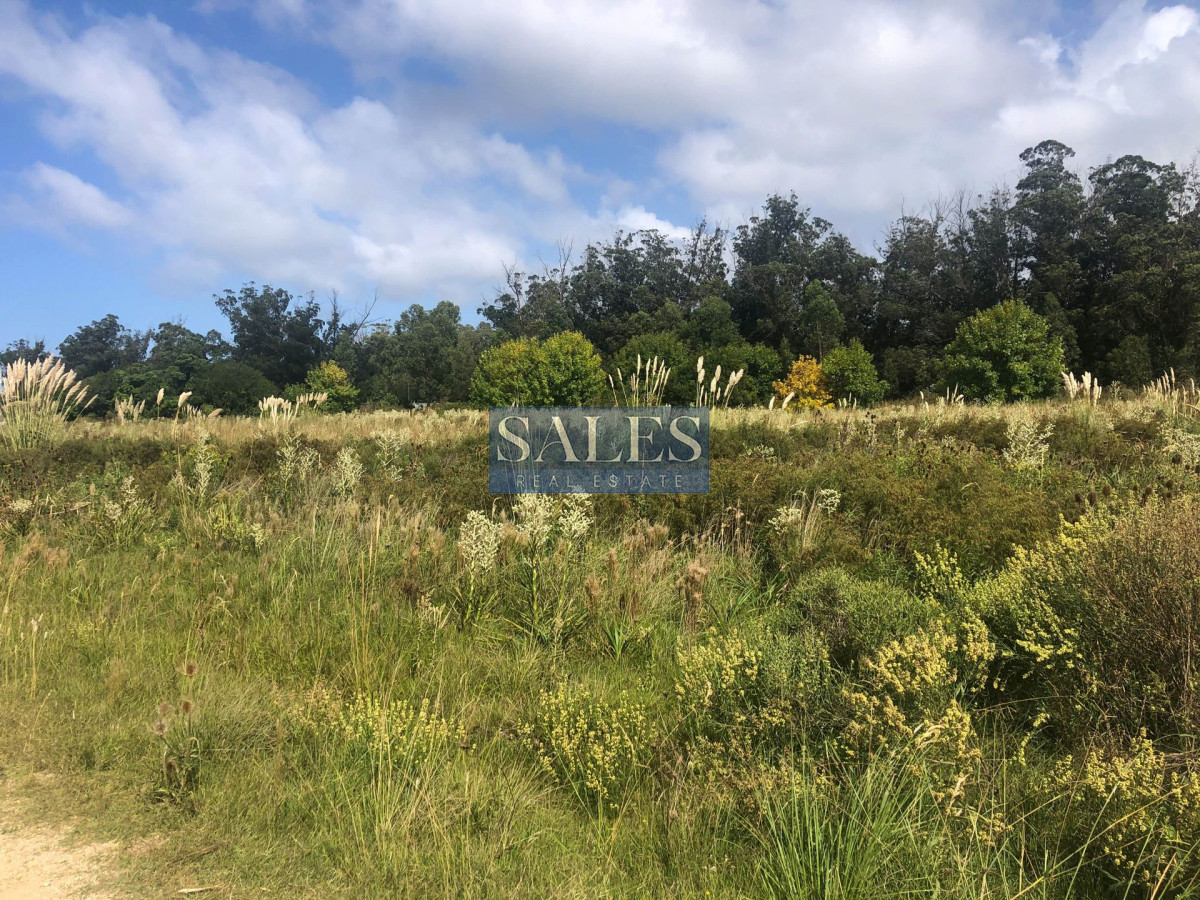 Terreno ID.452 - TERRENOS EN VENTA EN MIRAMAR ACRES - LA BARRA