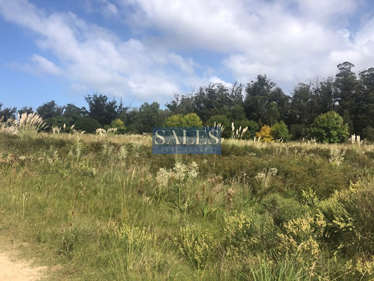 Terreno ID.452 - TERRENOS EN VENTA EN MIRAMAR ACRES - LA BARRA