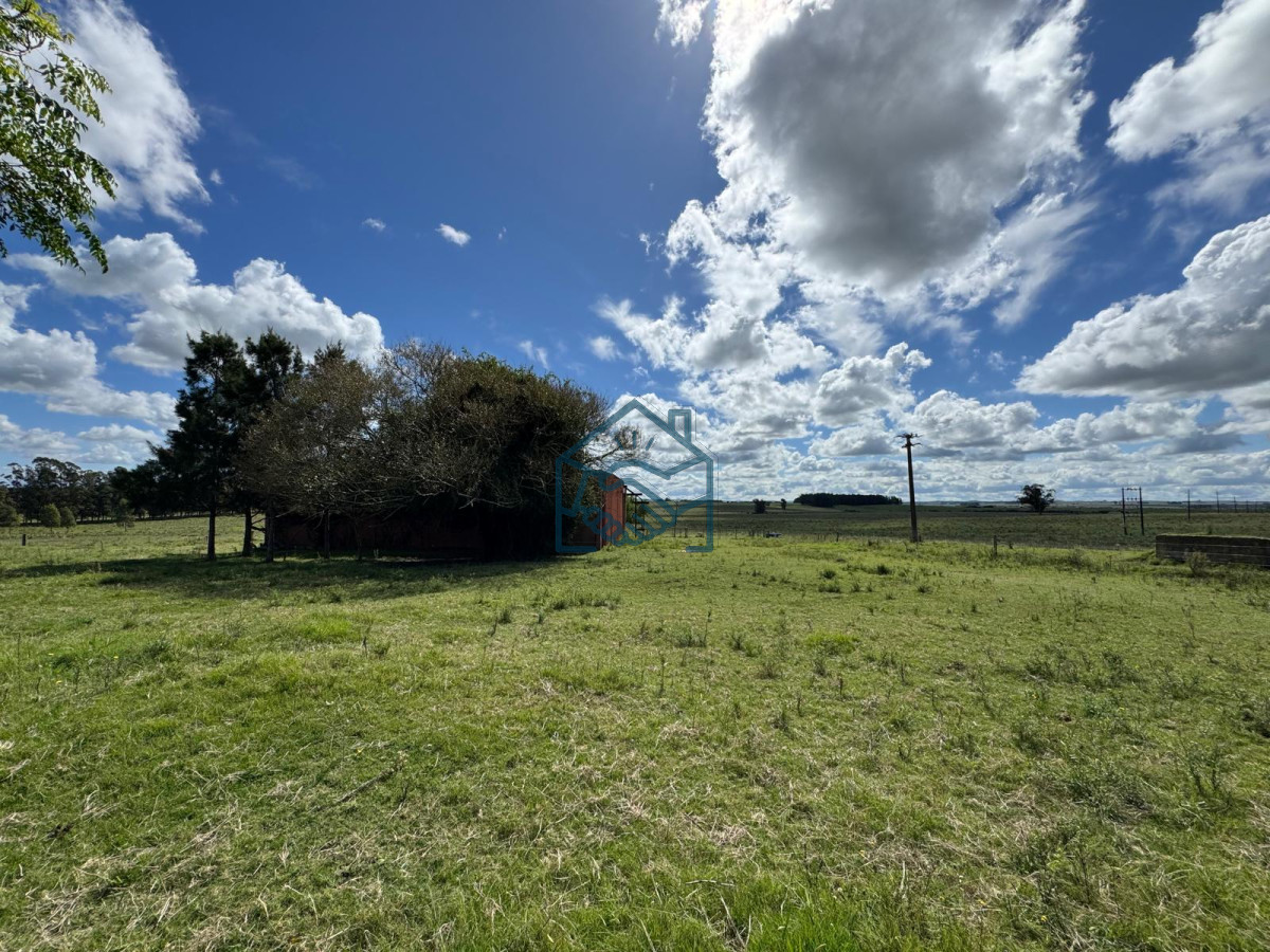 Campo Ref.1427/VENTA-DE-CHACRA--81-HECTÁREAS-EN-CAMINO-A-PUEBLO-GARZÓN - VENTA DE CHACRA – 81 HECTÁREAS EN CAMINO A PUEBLO GARZÓN