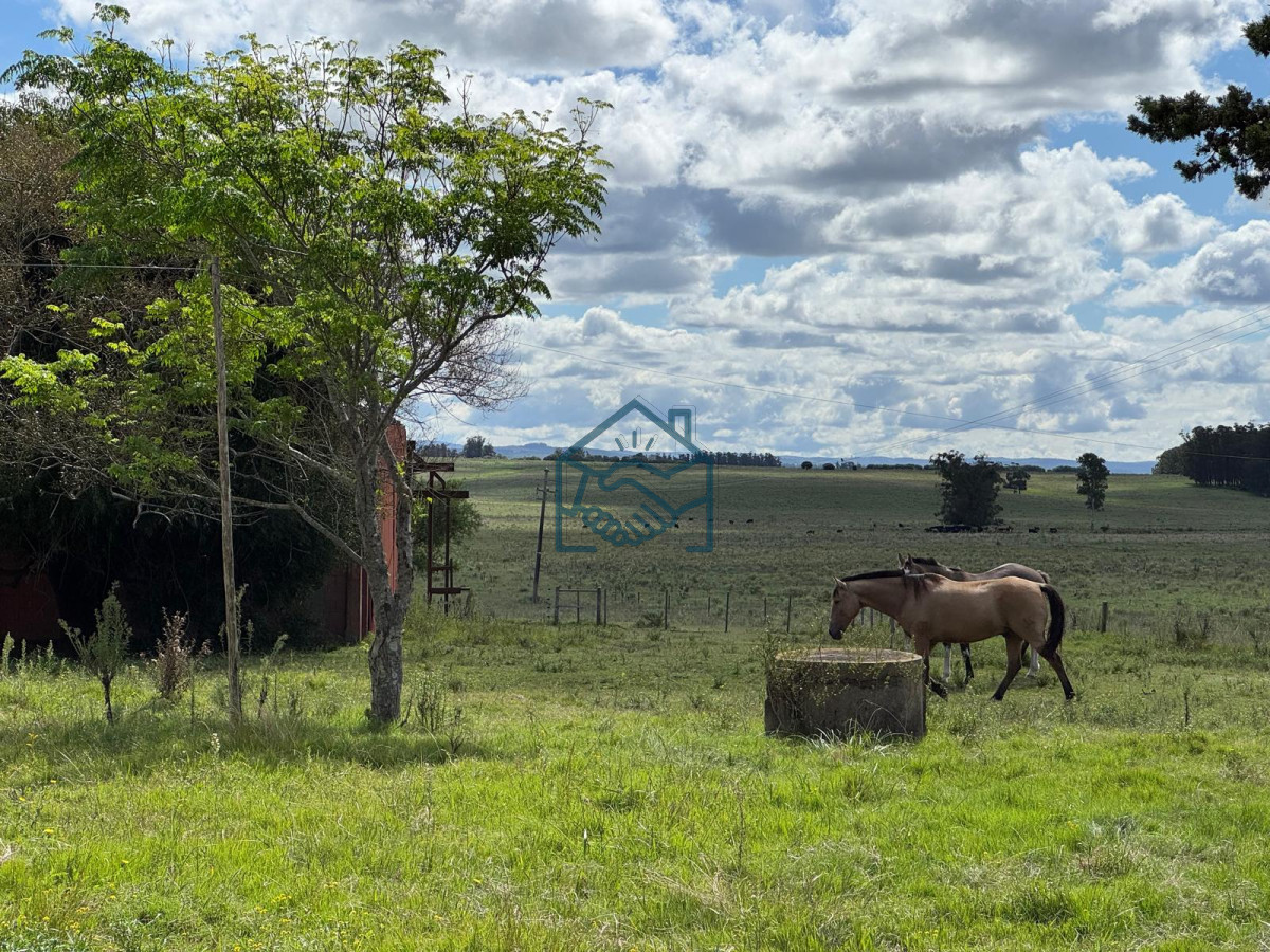 Campo Ref.1427/VENTA-DE-CHACRA--81-HECTÁREAS-EN-CAMINO-A-PUEBLO-GARZÓN - VENTA DE CHACRA – 81 HECTÁREAS EN CAMINO A PUEBLO GARZÓN