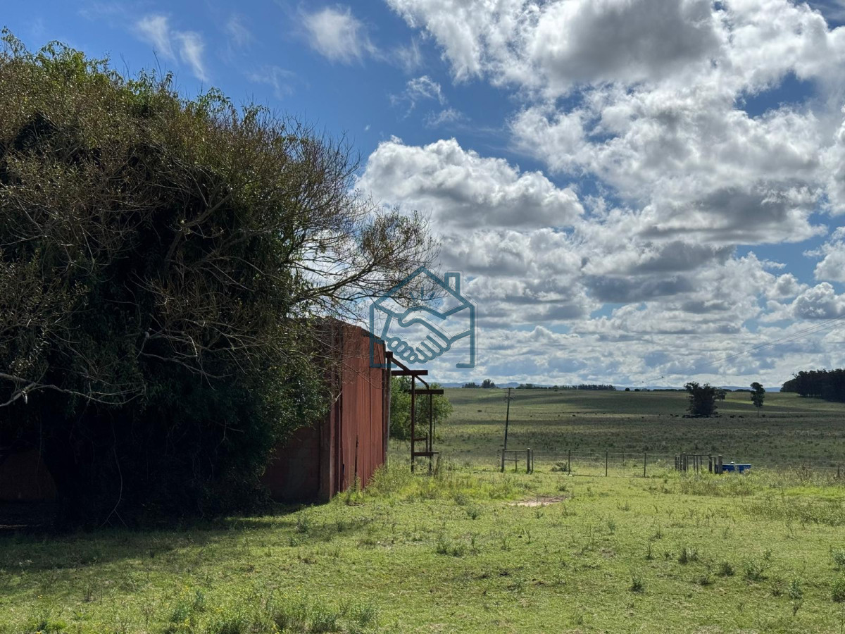 Campo Ref.1427/VENTA-DE-CHACRA--81-HECTÁREAS-EN-CAMINO-A-PUEBLO-GARZÓN - VENTA DE CHACRA – 81 HECTÁREAS EN CAMINO A PUEBLO GARZÓN