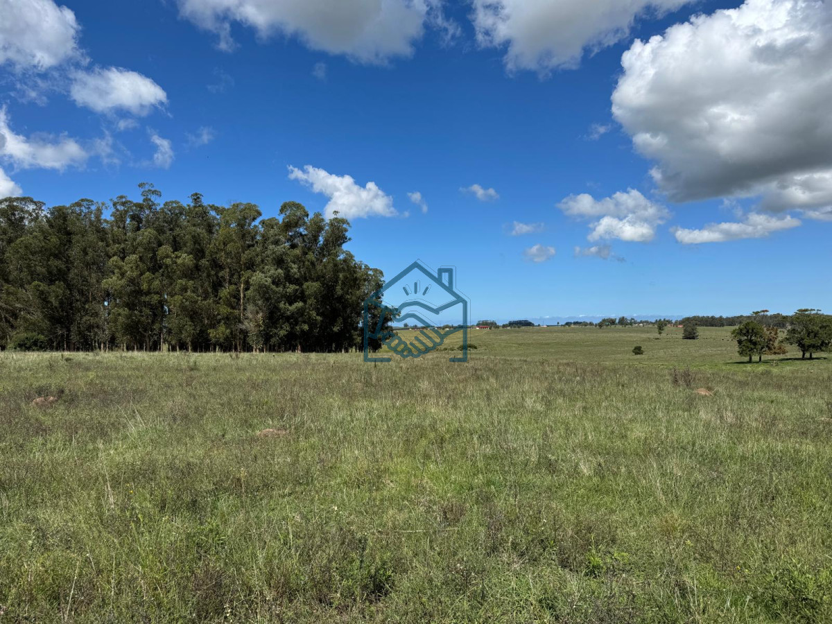 Campo Ref.1427/VENTA-DE-CHACRA--81-HECTÁREAS-EN-CAMINO-A-PUEBLO-GARZÓN - VENTA DE CHACRA – 81 HECTÁREAS EN CAMINO A PUEBLO GARZÓN