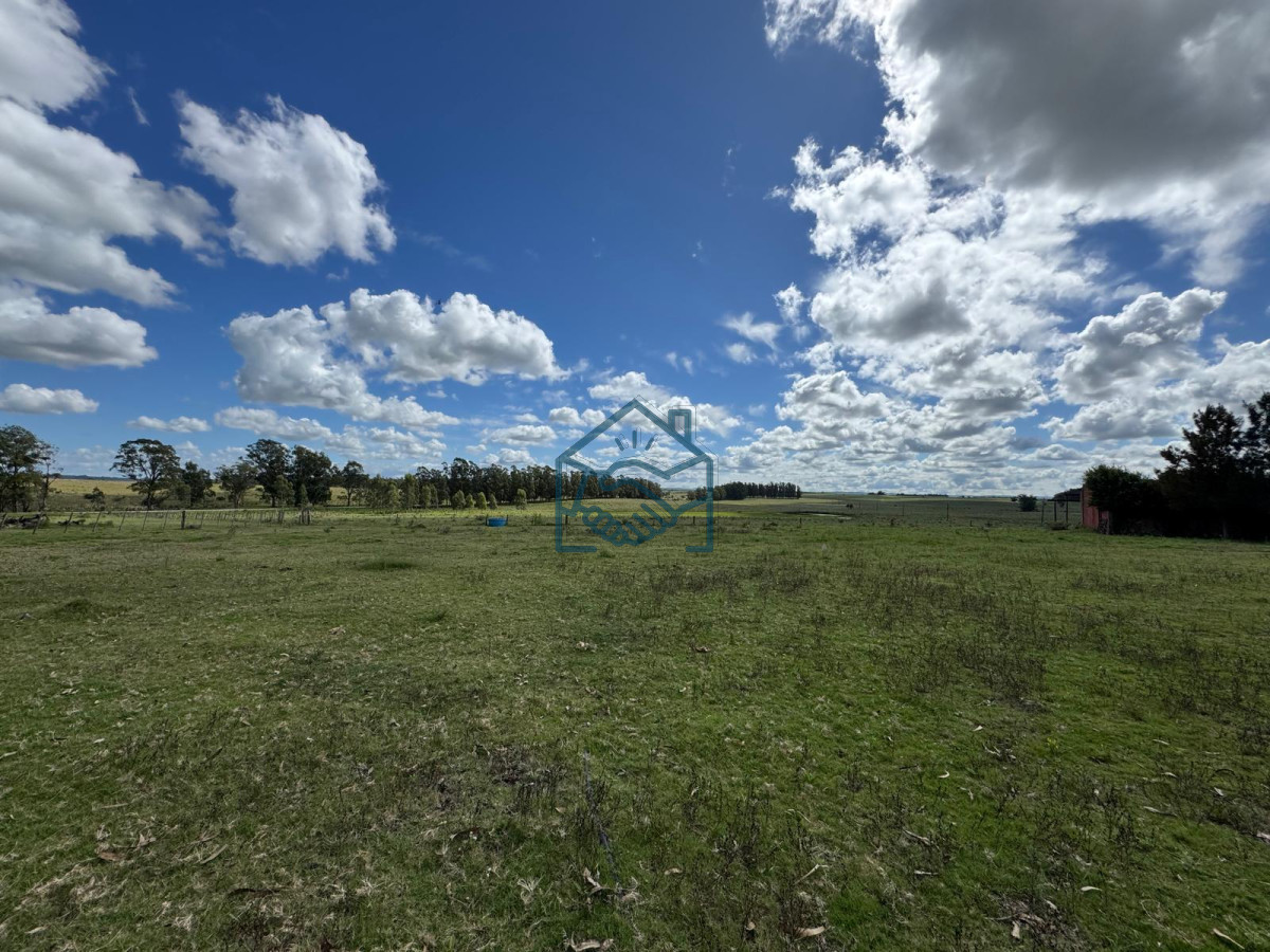 Campo Ref.1427/VENTA-DE-CHACRA--81-HECTÁREAS-EN-CAMINO-A-PUEBLO-GARZÓN - VENTA DE CHACRA – 81 HECTÁREAS EN CAMINO A PUEBLO GARZÓN