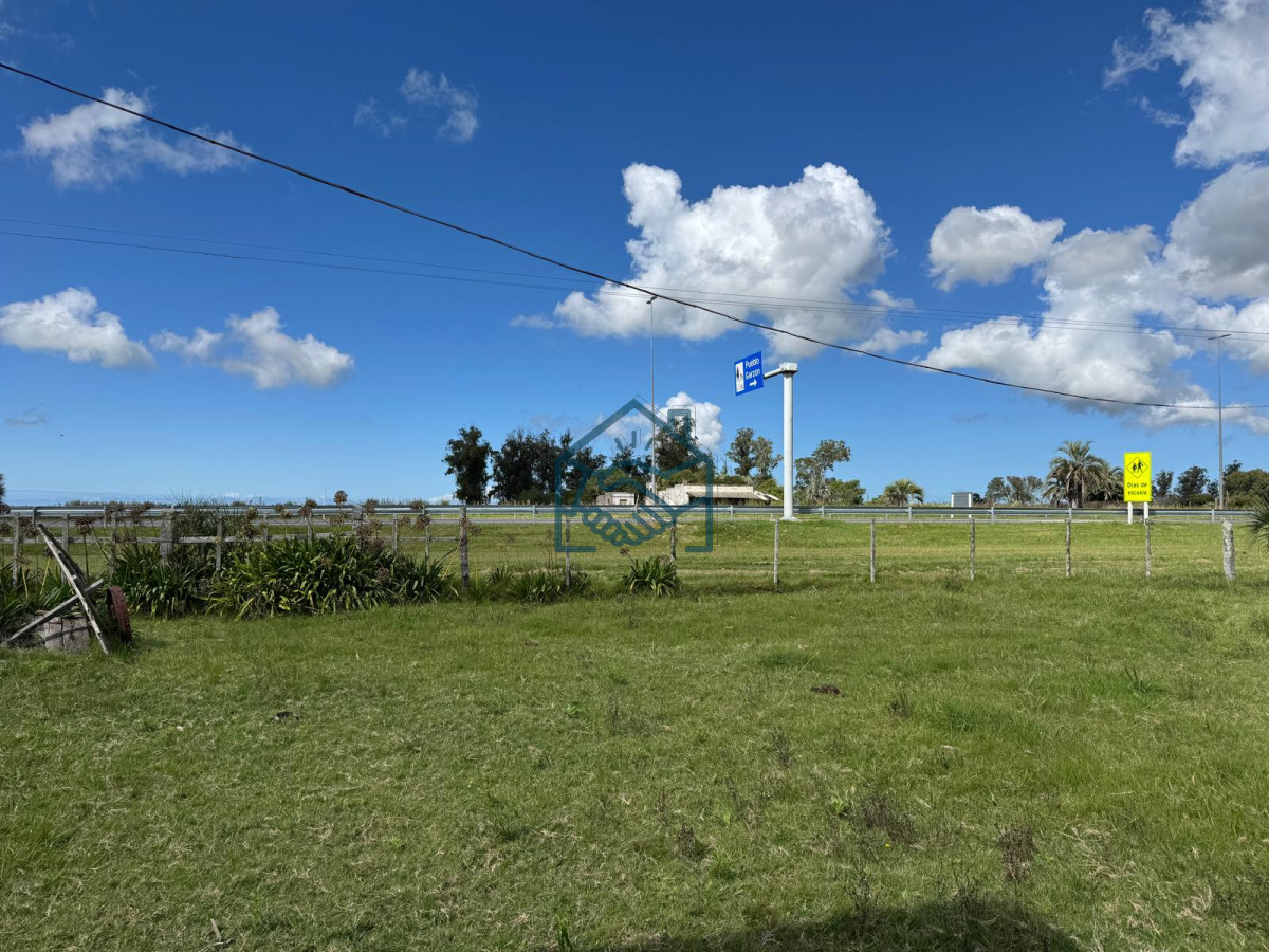 Campo Ref.1427/VENTA-DE-CHACRA--81-HECTÁREAS-EN-CAMINO-A-PUEBLO-GARZÓN - VENTA DE CHACRA – 81 HECTÁREAS EN CAMINO A PUEBLO GARZÓN