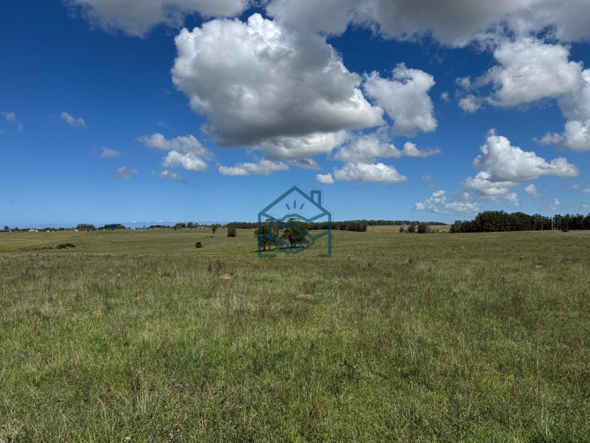 Campo Ref.1427/VENTA-DE-CHACRA--81-HECTÁREAS-EN-CAMINO-A-PUEBLO-GARZÓN - VENTA DE CHACRA – 81 HECTÁREAS EN CAMINO A PUEBLO GARZÓN