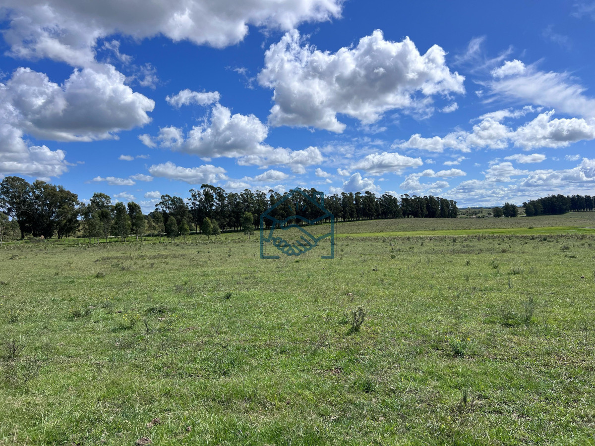 Campo Ref.1427/VENTA-DE-CHACRA--81-HECTÁREAS-EN-CAMINO-A-PUEBLO-GARZÓN - VENTA DE CHACRA – 81 HECTÁREAS EN CAMINO A PUEBLO GARZÓN