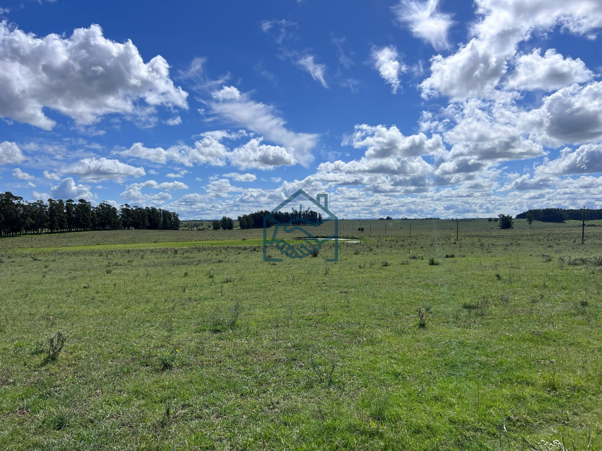 Campo Ref.1427/VENTA-DE-CHACRA--81-HECTÁREAS-EN-CAMINO-A-PUEBLO-GARZÓN - VENTA DE CHACRA – 81 HECTÁREAS EN CAMINO A PUEBLO GARZÓN