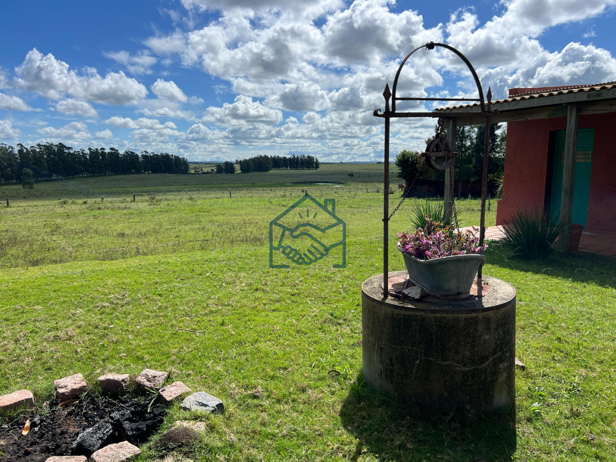 Campo Ref.1427/VENTA-DE-CHACRA--81-HECTÁREAS-EN-CAMINO-A-PUEBLO-GARZÓN - VENTA DE CHACRA – 81 HECTÁREAS EN CAMINO A PUEBLO GARZÓN