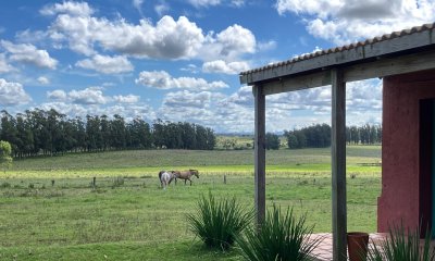 VENTA DE CHACRA ? 81 HECTÁREAS EN CAMINO A PUEBLO GARZÓN