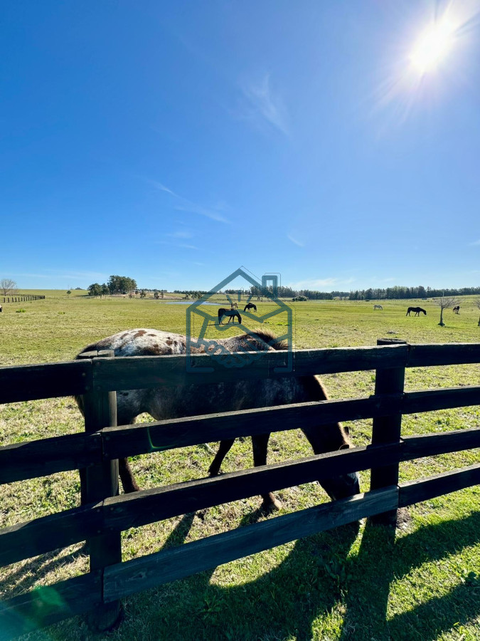Terreno ID.1204/Espectacular-Lote-en-Venta-en-Pueblo-Mio - Espectacular Lote en Venta en Pueblo Mio