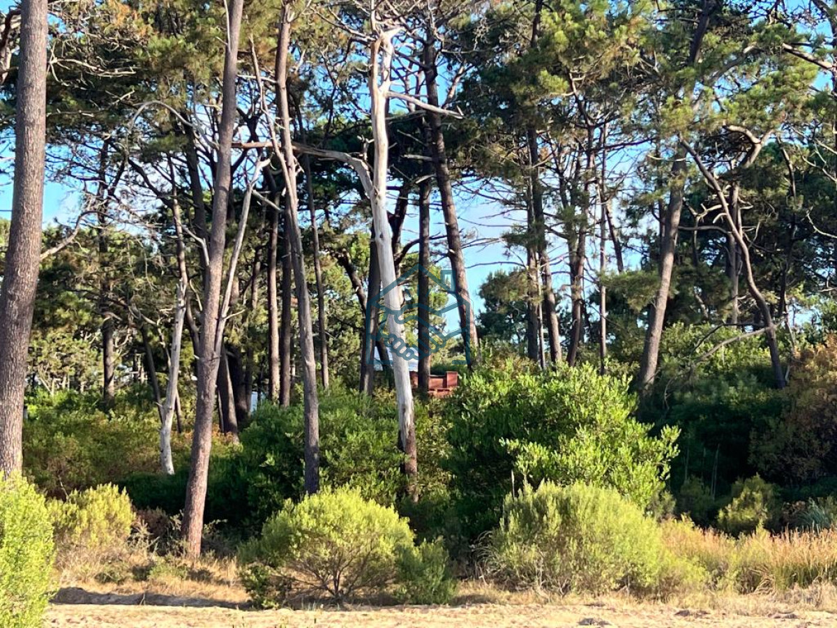 Terreno ID.572/Terreno-de-1000m2-en-Reserva-Montoya - Terreno de 1000m2 en Reserva Montoya