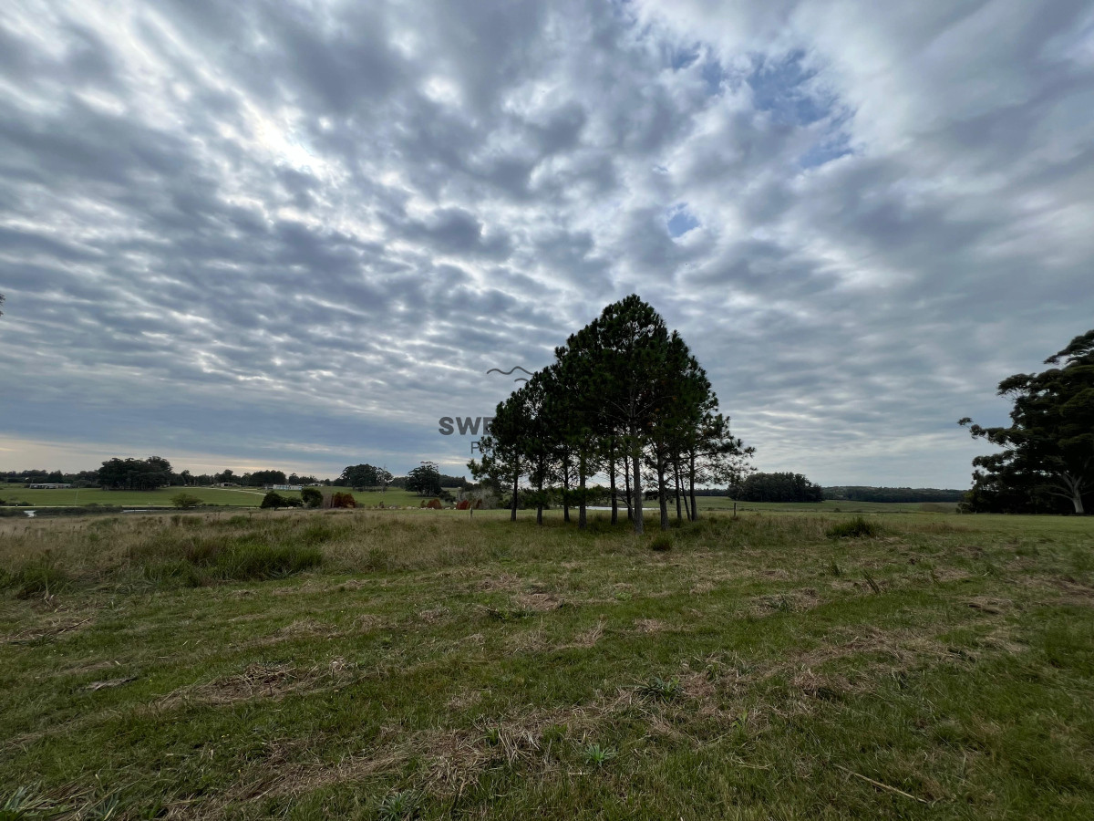 Chacra ID.86 - CHACRA EN EL QUIJOTE