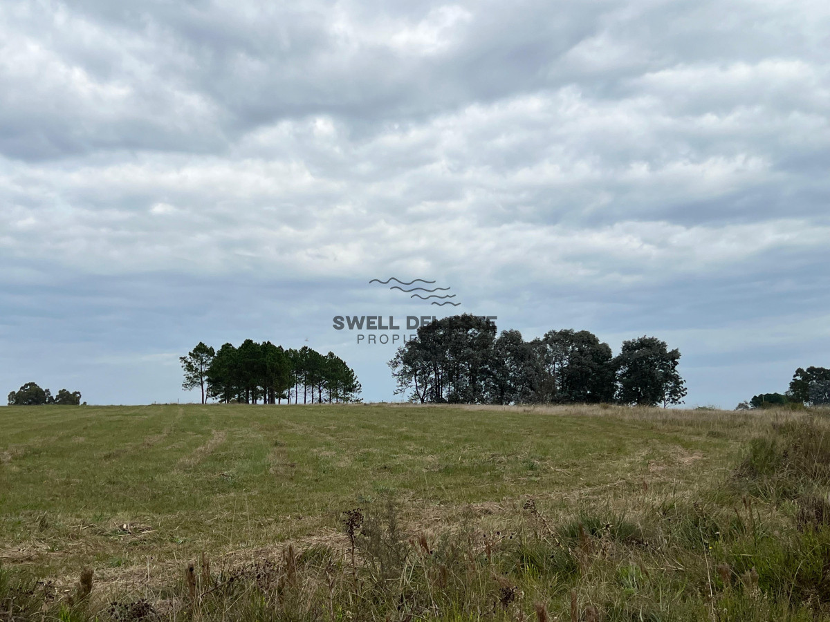 Chacra ID.86 - CHACRA EN EL QUIJOTE