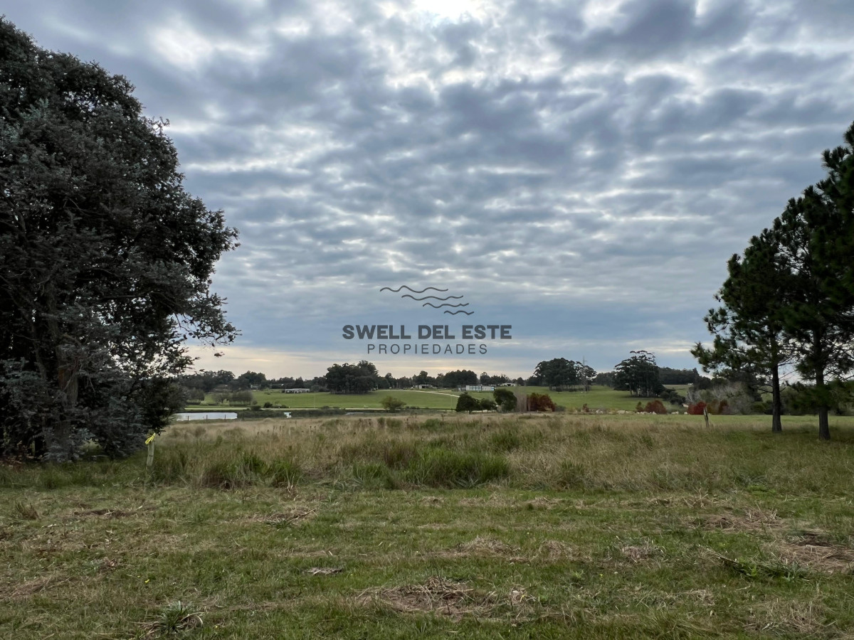 Chacra ID.86 - CHACRA EN EL QUIJOTE