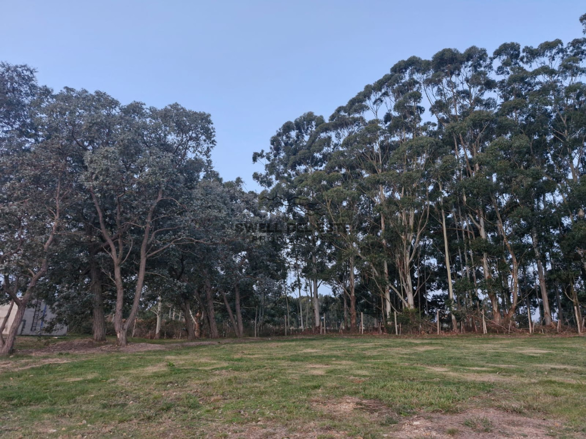 Terreno ID.87 - TERRENO EN DON MIGUEL