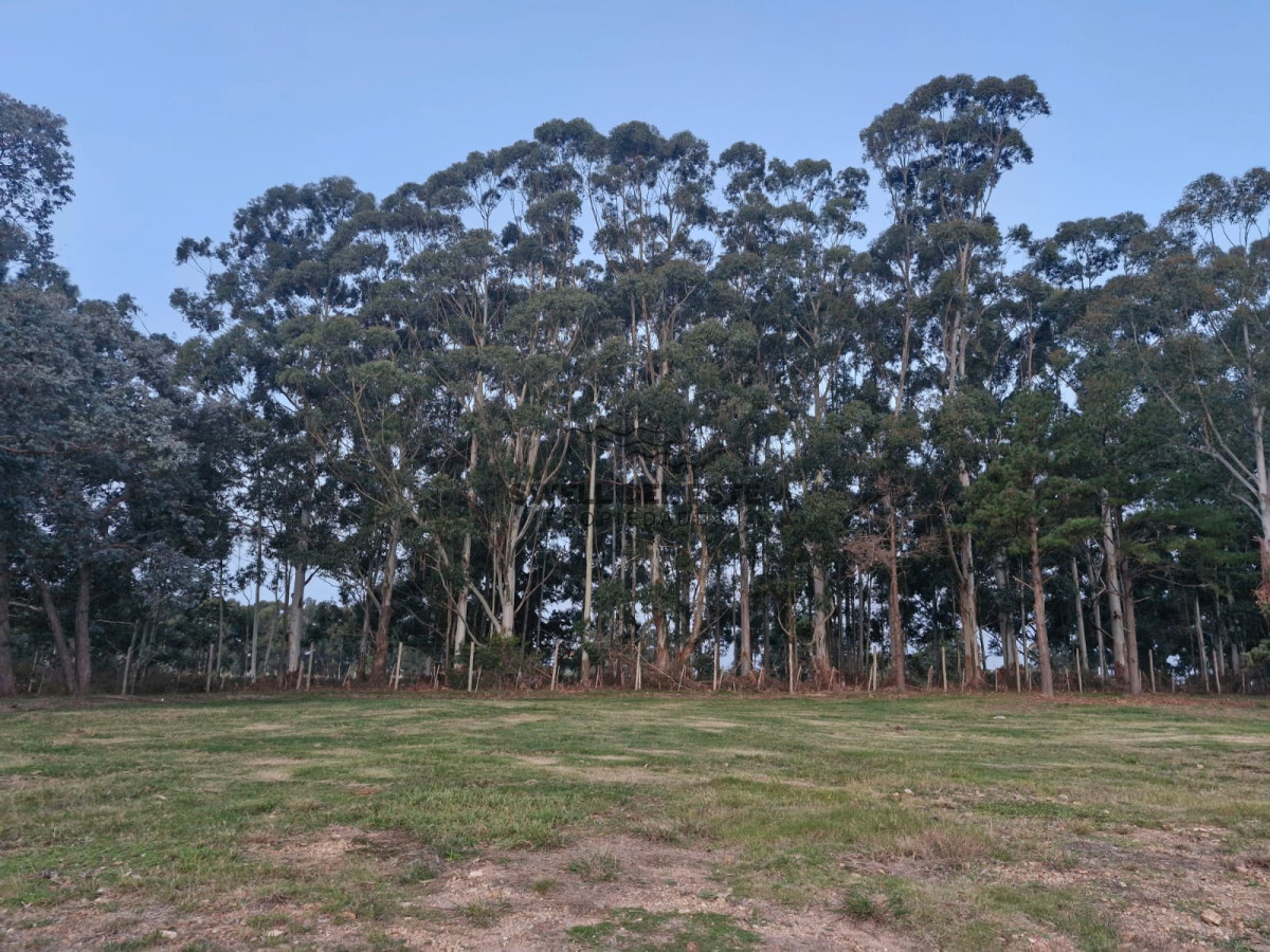 Terreno ID.87 - TERRENO EN DON MIGUEL