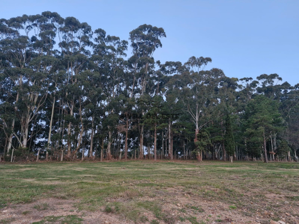 Terreno ID.87 - TERRENO EN DON MIGUEL