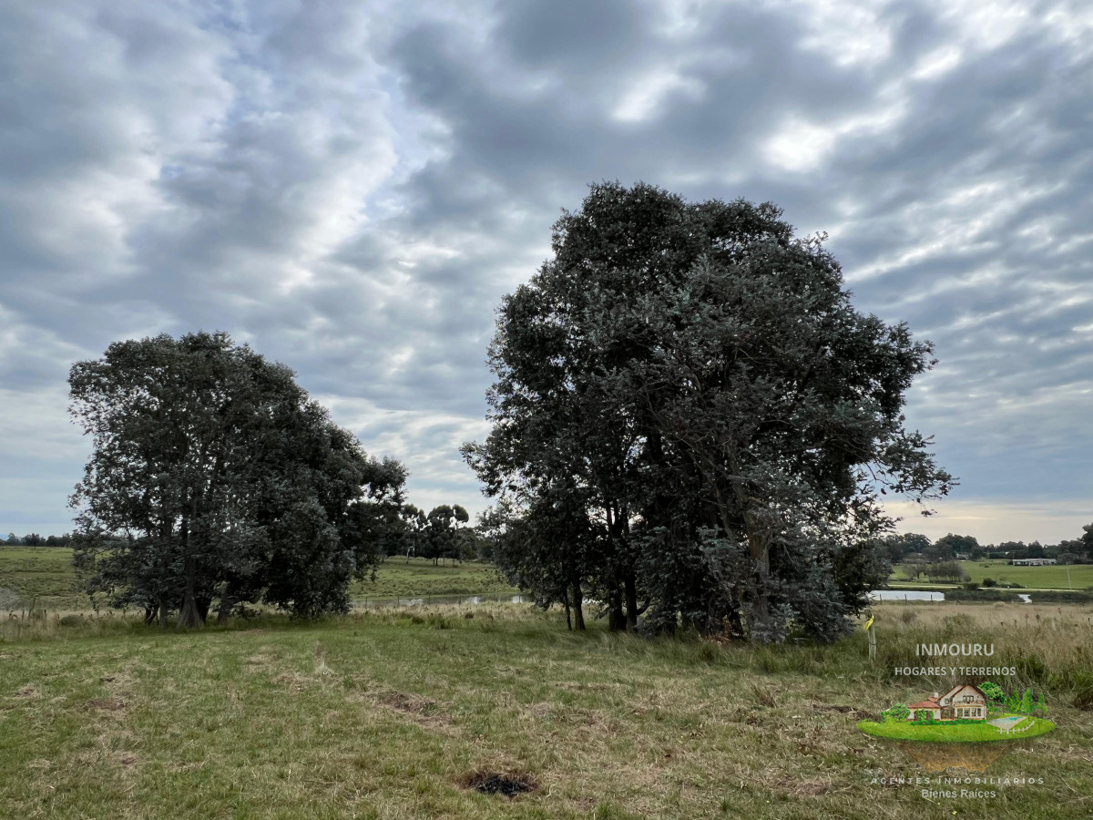 Chacra ID.983 - CHACRA EN EL QUIJOTE