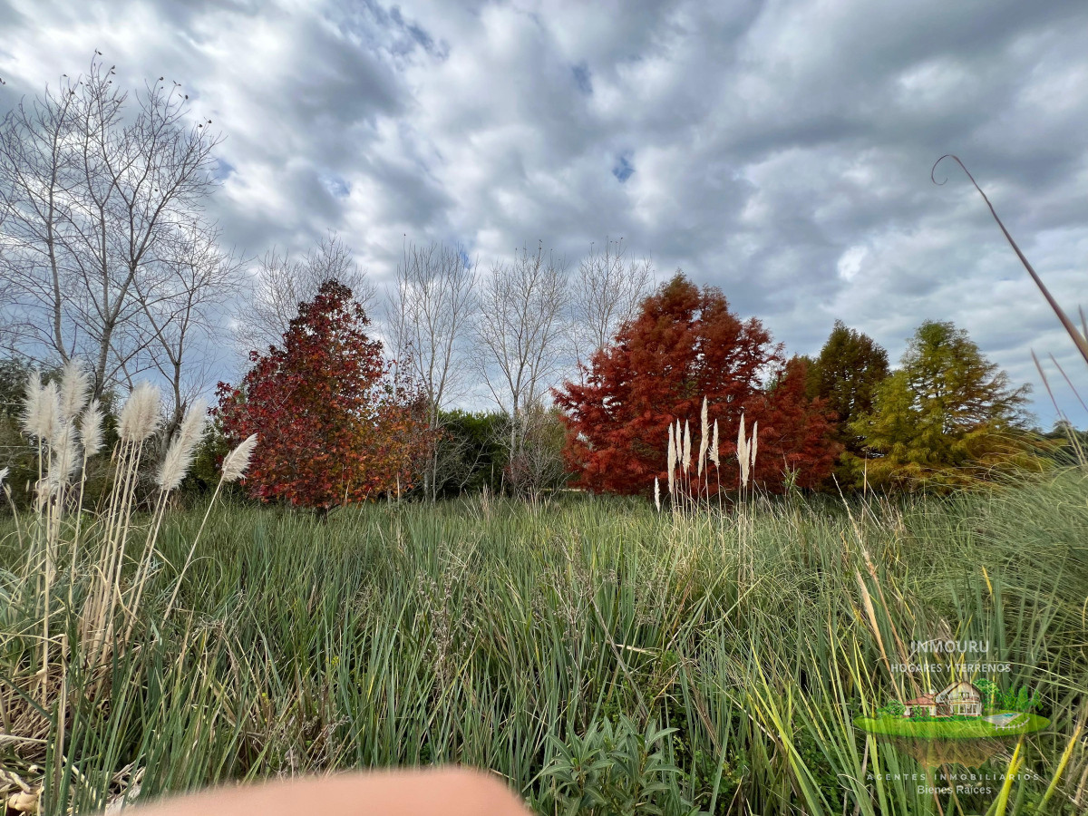 Chacra ID.983 - CHACRA EN EL QUIJOTE