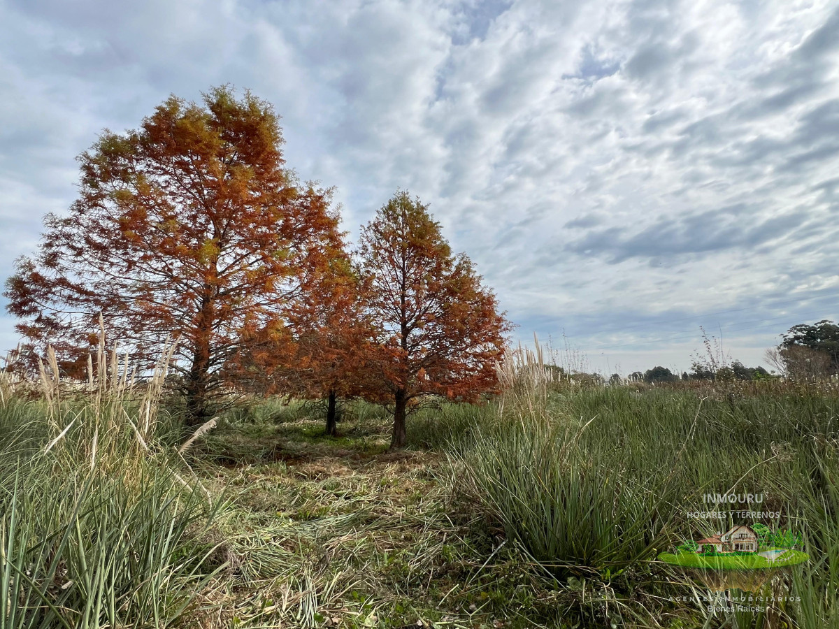 Chacra ID.983 - CHACRA EN EL QUIJOTE