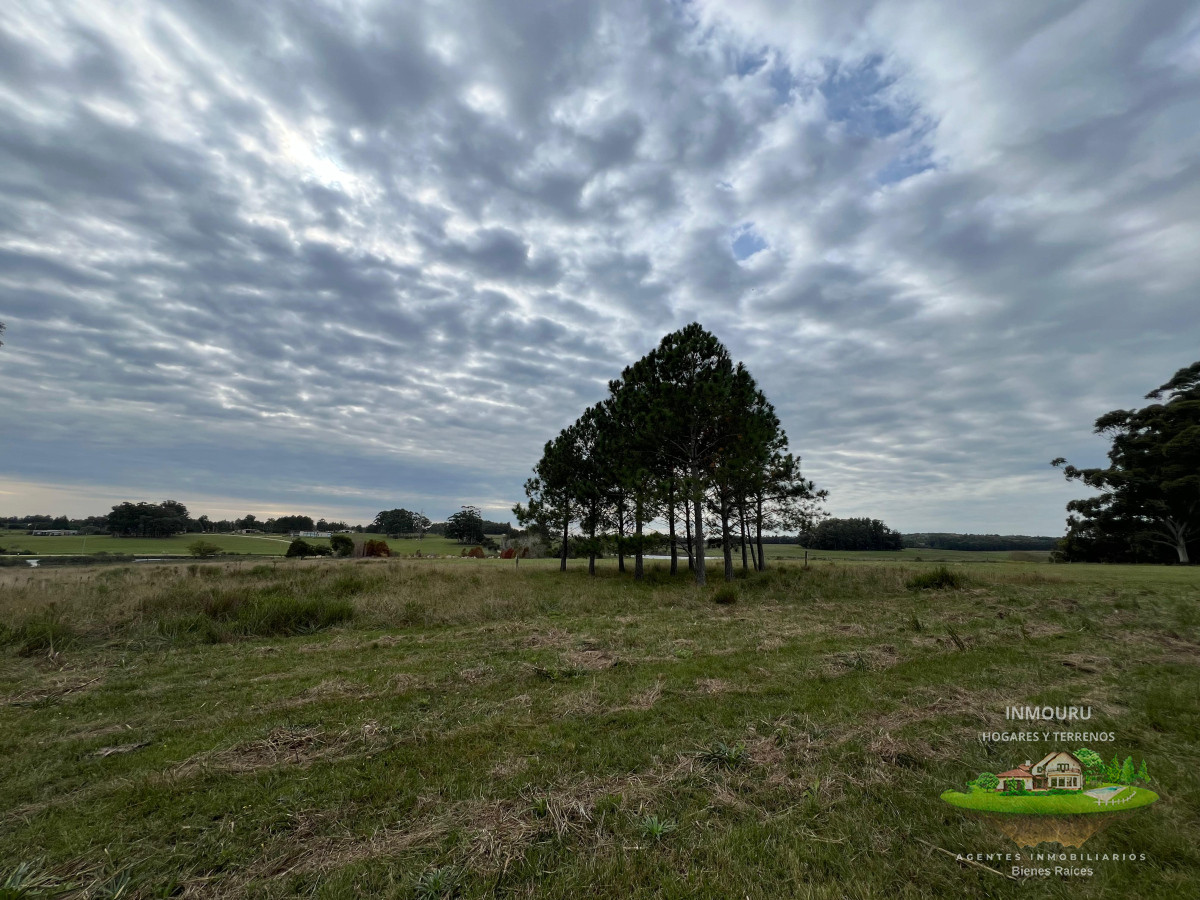 Chacra ID.983 - CHACRA EN EL QUIJOTE