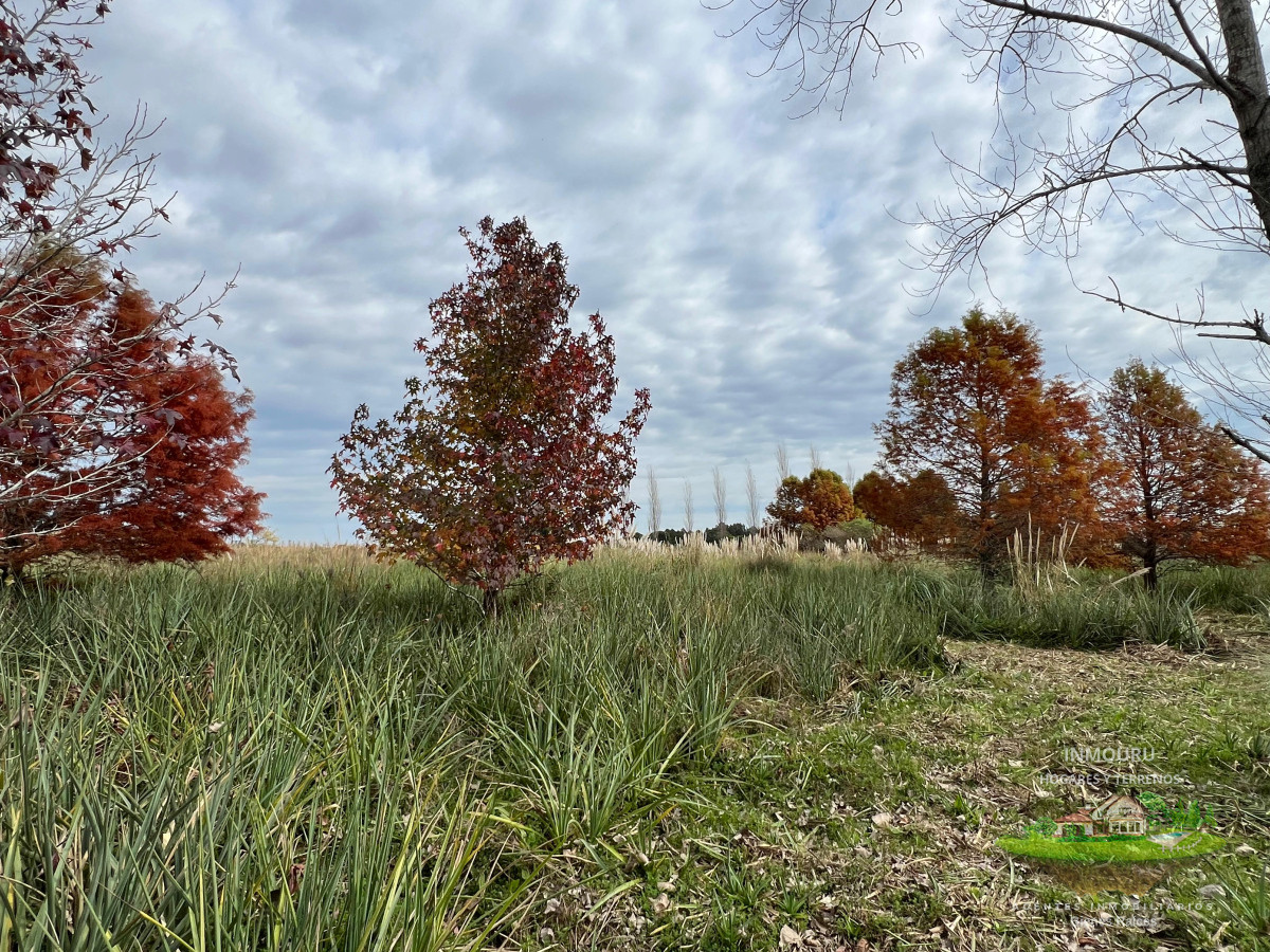 Chacra ID.983 - CHACRA EN EL QUIJOTE