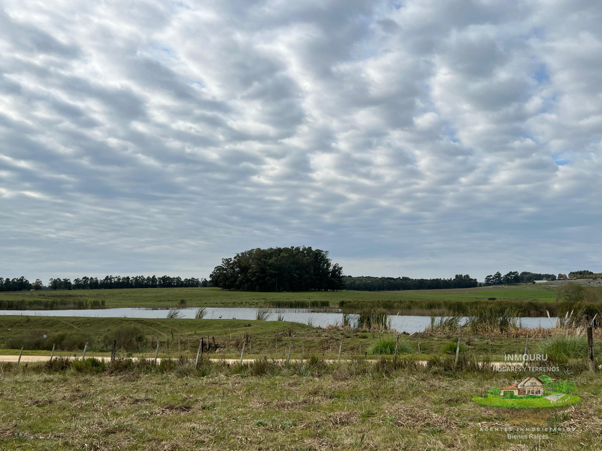Chacra ID.983 - CHACRA EN EL QUIJOTE