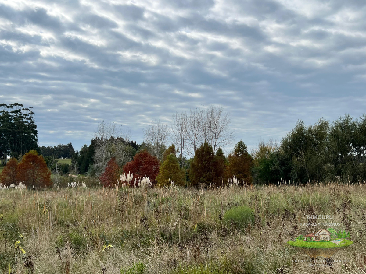 Chacra ID.983 - CHACRA EN EL QUIJOTE