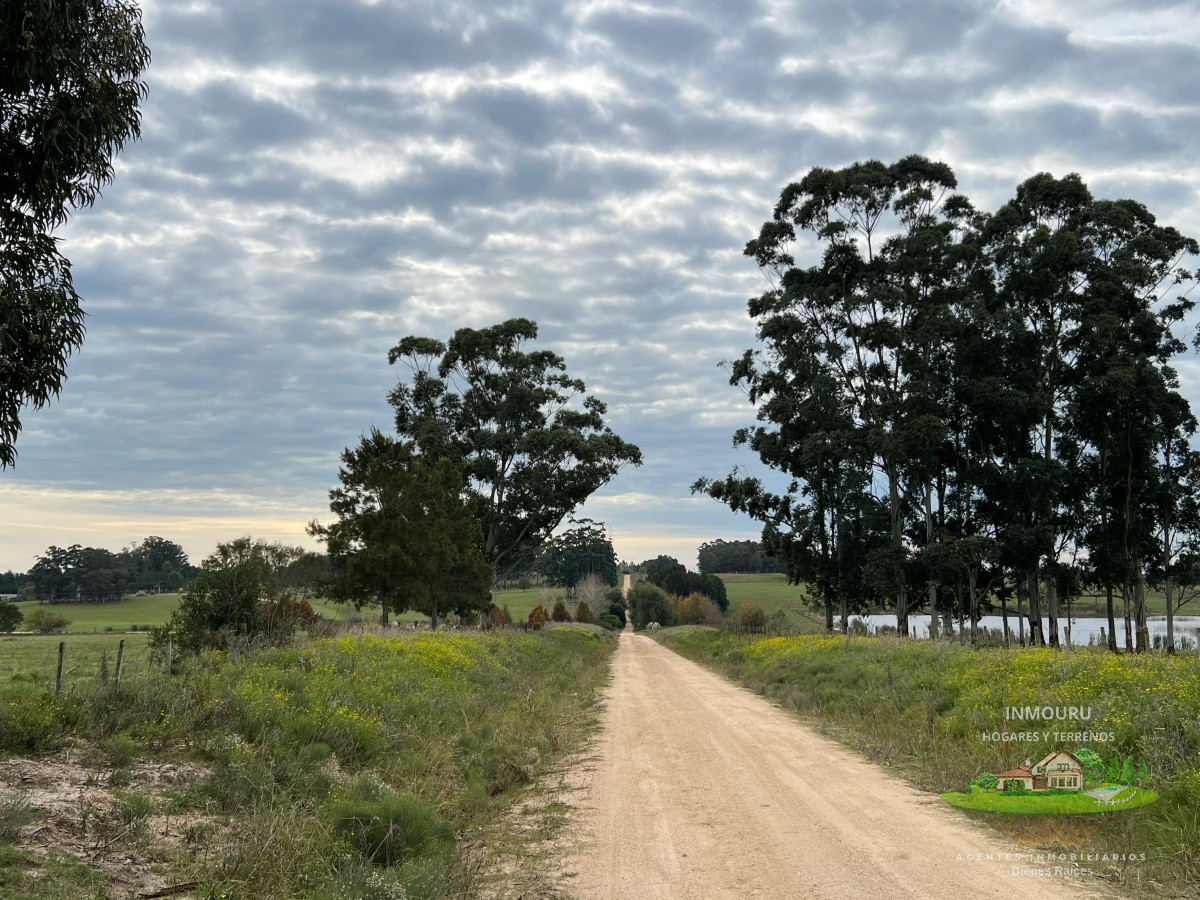 Chacra ID.983 - CHACRA EN EL QUIJOTE