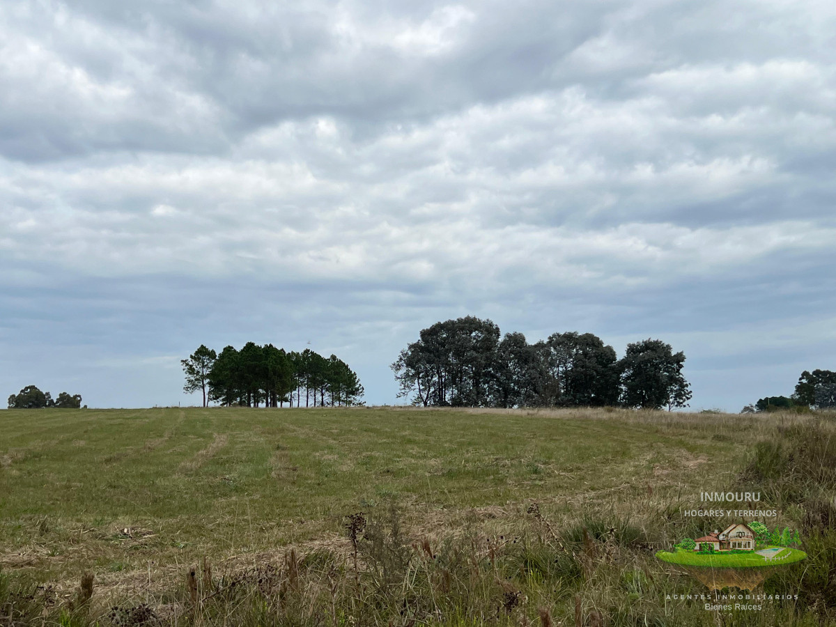 Chacra ID.983 - CHACRA EN EL QUIJOTE