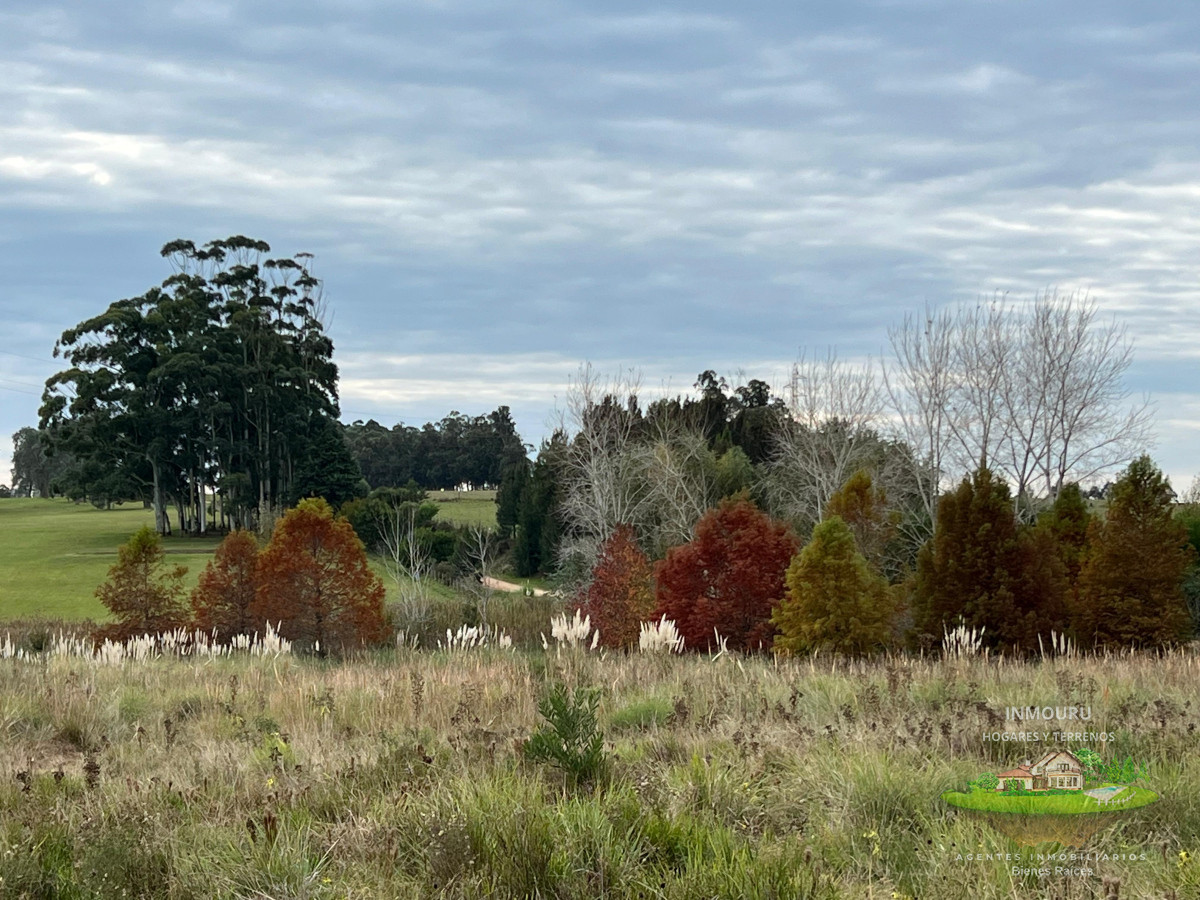 Chacra ID.983 - CHACRA EN EL QUIJOTE